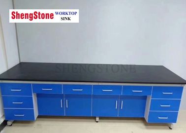 Countertops van het de Epoxyharslaboratorium van het ondernemingsonderzoek Zwarte Epoxyharsbank Worktop